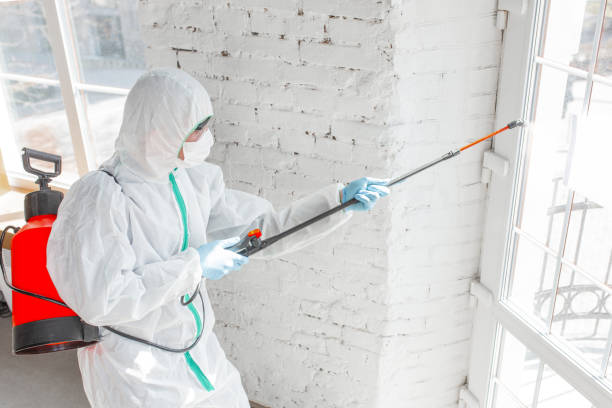 Best Emergency Mold Remediation  in Sterling, AK