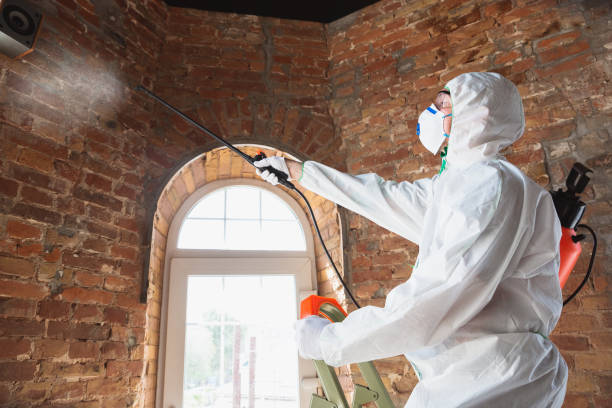 Best Biohazard Mold Removal  in Sterling, AK